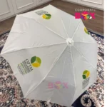 Mini umbrella customized color